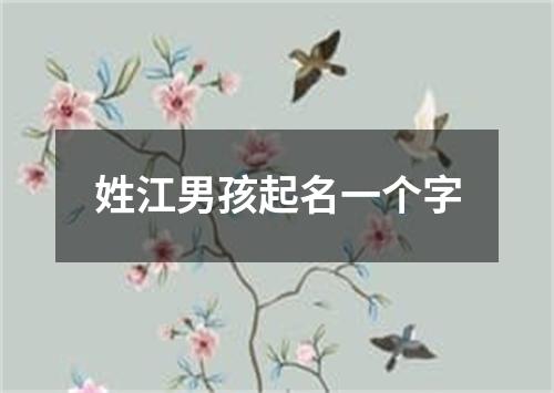 姓江男孩起名一个字