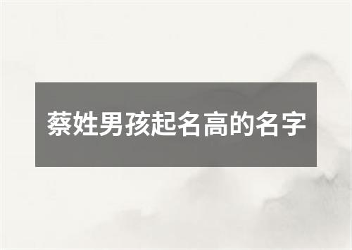 蔡姓男孩起名高的名字