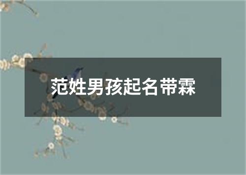 范姓男孩起名带霖