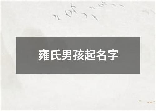 雍氏男孩起名字