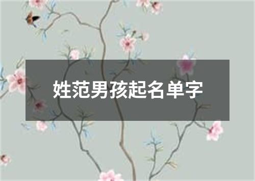 姓范男孩起名单字