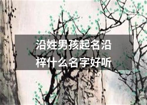 沿姓男孩起名沿梓什么名字好听