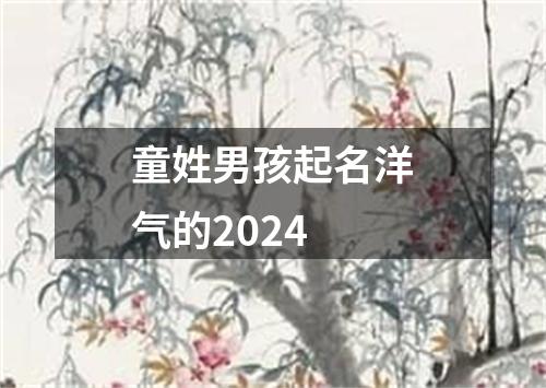 童姓男孩起名洋气的2024