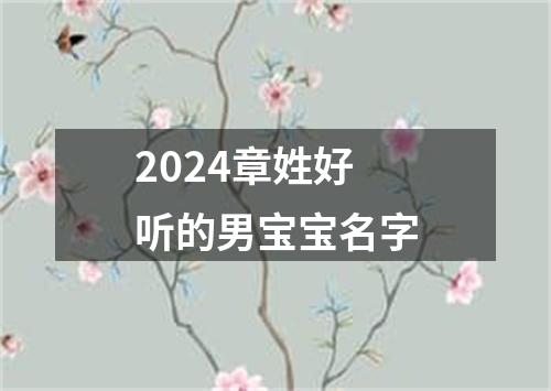 2024章姓好听的男宝宝名字