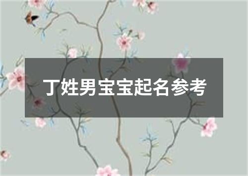 丁姓男宝宝起名参考