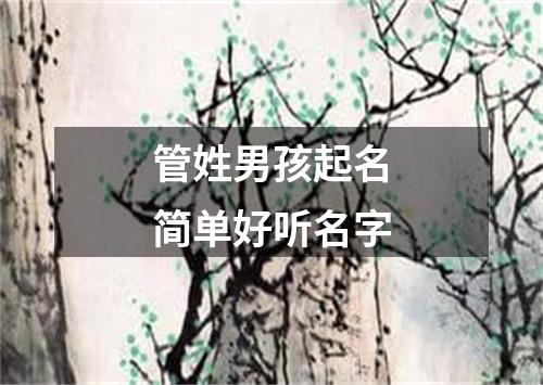 管姓男孩起名简单好听名字