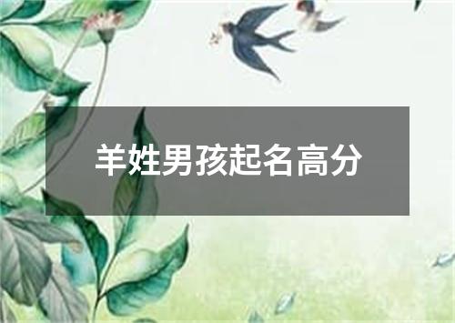 羊姓男孩起名高分