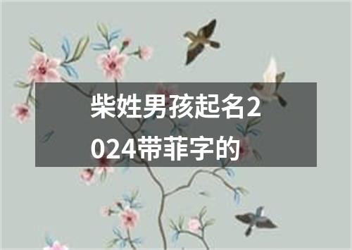 柴姓男孩起名2024带菲字的