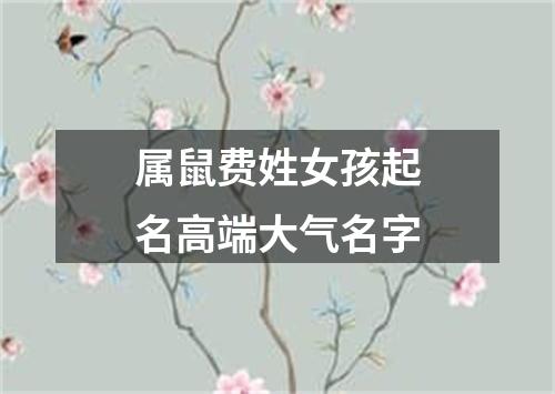 属鼠费姓女孩起名高端大气名字