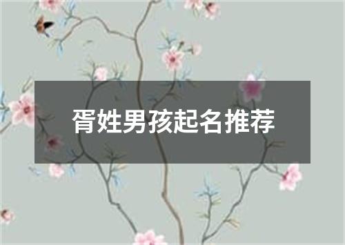 胥姓男孩起名推荐