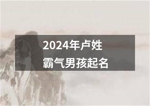 2024年卢姓霸气男孩起名