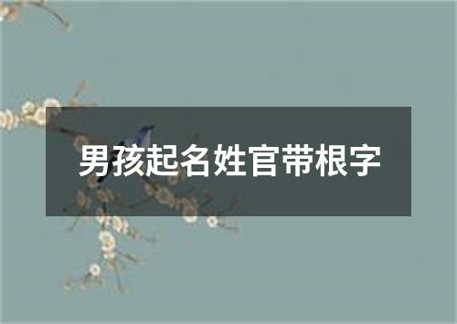 男孩起名姓官带根字