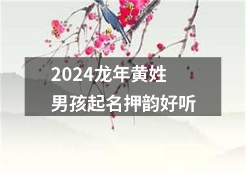 2024龙年黄姓男孩起名押韵好听