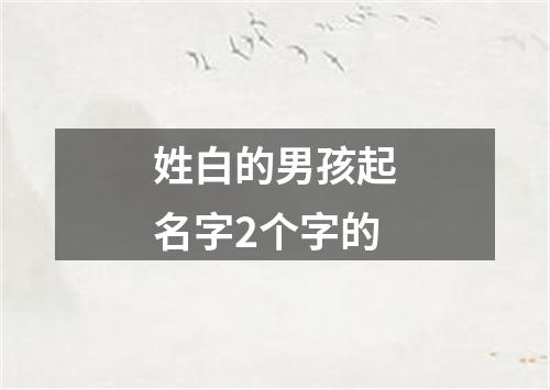 姓白的男孩起名字2个字的