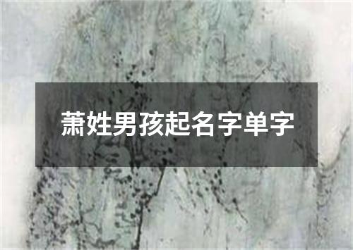 萧姓男孩起名字单字