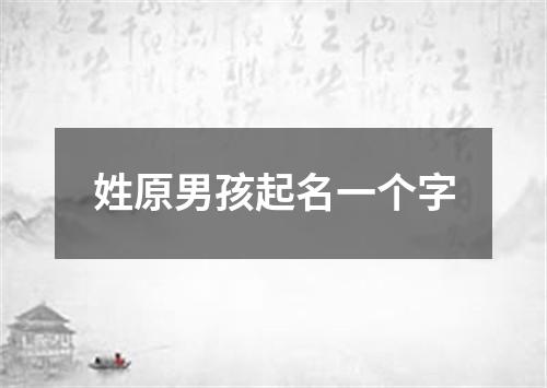 姓原男孩起名一个字