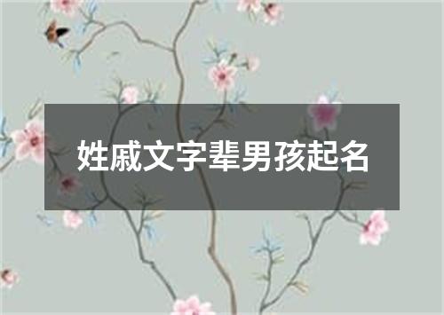 姓戚文字辈男孩起名