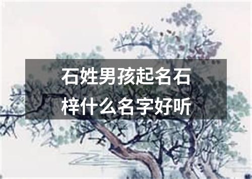 石姓男孩起名石梓什么名字好听