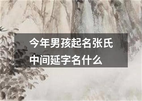 今年男孩起名张氏中间延字名什么