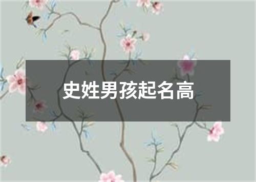 史姓男孩起名高