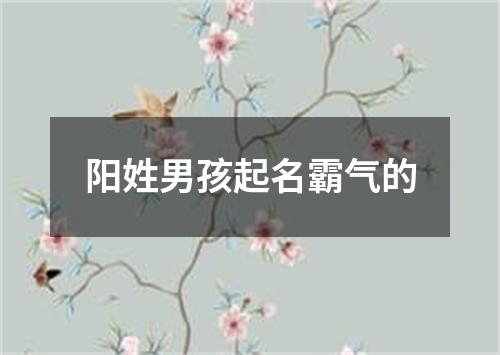 阳姓男孩起名霸气的