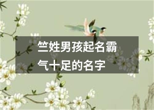 竺姓男孩起名霸气十足的名字