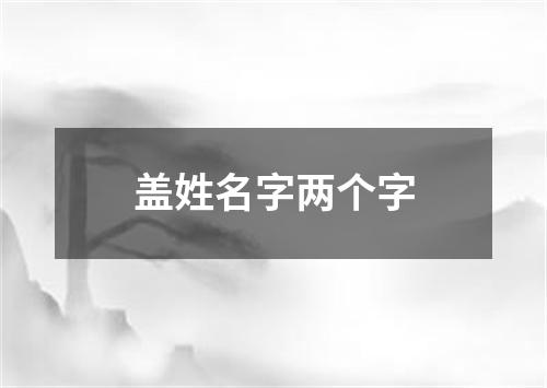 盖姓名字两个字