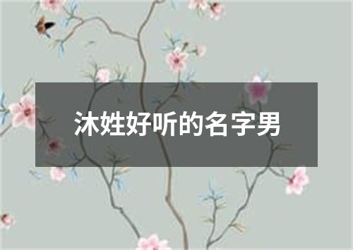 沐姓好听的名字男