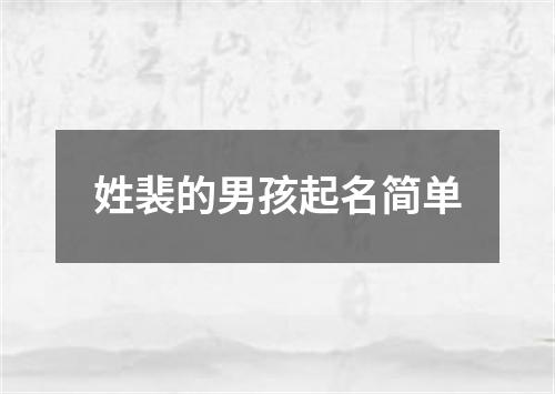 姓裴的男孩起名简单