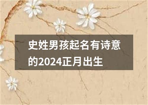 史姓男孩起名有诗意的2024正月出生