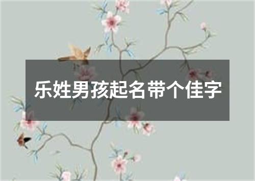 乐姓男孩起名带个佳字