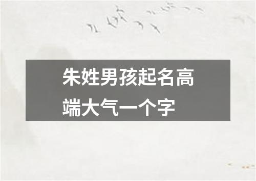 朱姓男孩起名高端大气一个字