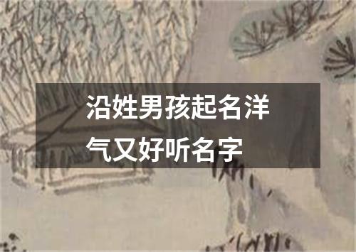 沿姓男孩起名洋气又好听名字