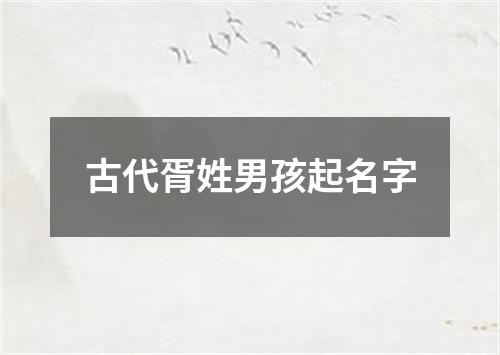 古代胥姓男孩起名字