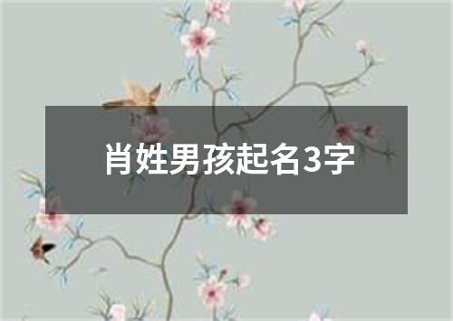 肖姓男孩起名3字