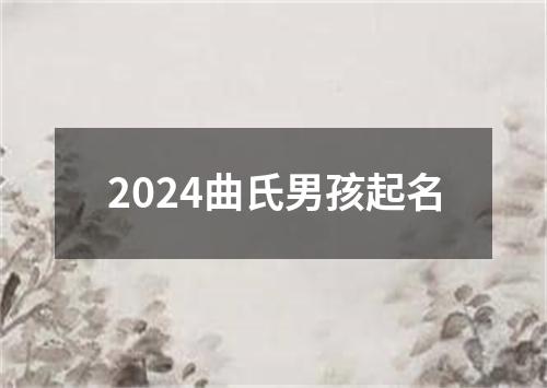 2024曲氏男孩起名