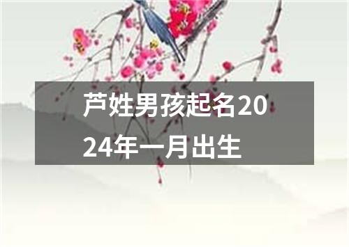 芦姓男孩起名2024年一月出生