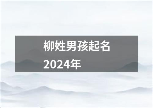 柳姓男孩起名2024年