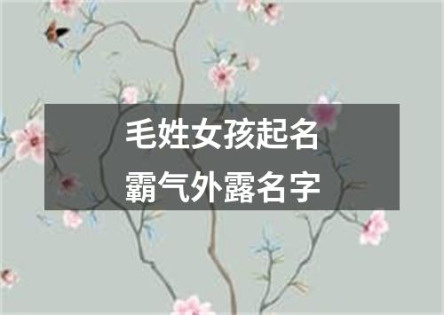 毛姓女孩起名霸气外露名字