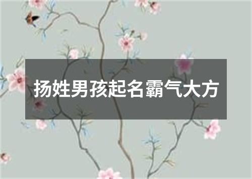 扬姓男孩起名霸气大方