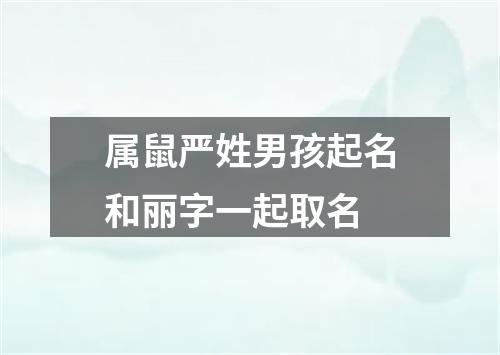 属鼠严姓男孩起名和丽字一起取名