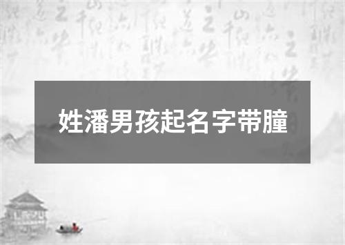 姓潘男孩起名字带朣