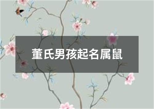 董氏男孩起名属鼠