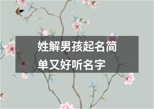 姓解男孩起名简单又好听名字