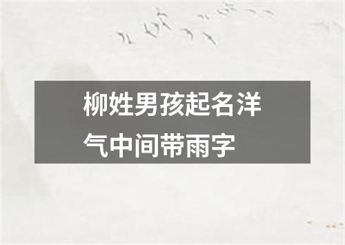 柳姓男孩起名洋气中间带雨字