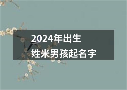 2024年出生姓米男孩起名字