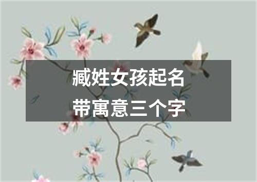 臧姓女孩起名带寓意三个字