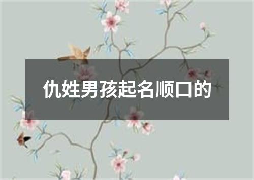 仇姓男孩起名顺口的