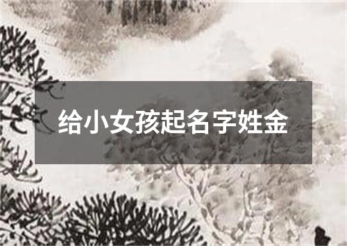 给小女孩起名字姓金