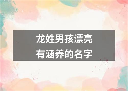 龙姓男孩漂亮有涵养的名字